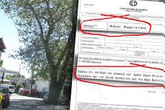 Φυτείες: Μαζεύουν υπογραφές για να φύγουν από τον Δήμο Ξηρομέρου