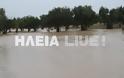 Γαστούνη: Η βροχή έκανε Βενετία την περιοχή - Φωτογραφία 2