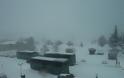 Χιονίζει σε Φλώρινα, Κοζάνη, Πτολεμαΐδα, Καστοριά - Φωτογραφία 2