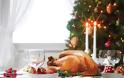 Το ακριβότερο χριστουγεννιάτικο γεύμα σε on-line παραγγελία! - Φωτογραφία 1