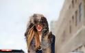 Fur play: Οι (faux πάντα!!) γούνες του χειμώνα - Φωτογραφία 11