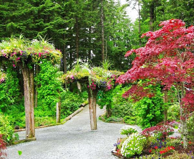Φανταστικός κήπος με ανάποδα ανθισμένα δέντρα! - Φωτογραφία 4