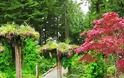 Φανταστικός κήπος με ανάποδα ανθισμένα δέντρα! - Φωτογραφία 4