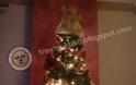 Οι αναγνώστες στέλνουν το Χριστουγεννιάτικο δέντρο του σπιτιού τους...