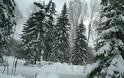 Mαύρο χιόνι έπεσε στην Σιβηρία