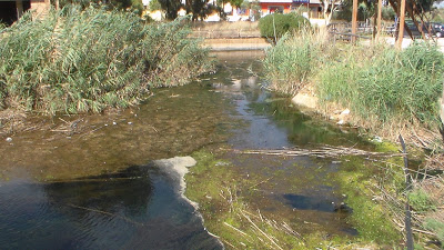 Η κρίση ... βοηθάει το περιβάλλον! - Φωτογραφία 6