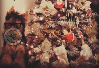 Οι αναγνώστες του tromaktiko στέλνουν το Χριστουγεννιάτικα στολισμένο σπίτι τους... - Φωτογραφία 1