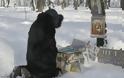 Πεθαίνουν μαζικά από το κρύο σε Ουκρανία και Ρωσία - 37 νεκροί σε ένα μήνα
