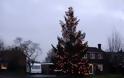 Το μικρό Χριστουγεννιάτικο δέντρο που «μάγεψε» όλη την περιοχή [photos] - Φωτογραφία 3