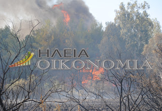 Ηλεία: Οργισμένη ανακοίνωση απο συγγενείς των θυμάτων των φονικών πυρκαγιών του 2007 - Φωτογραφία 1