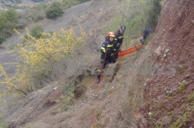 Αιτωλοακαρνανία: Αντί να μαζέψει το κοπάδι του... έπεσε στο γκρεμό! - Φωτογραφία 3