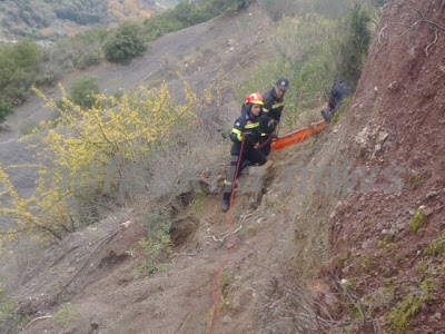 Έπεσε σε γκρεμό προσπαθώντας να μαζέψει το κοπάδι του - Φωτογραφία 4