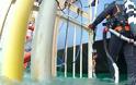 Για πρώτη φορά εικόνες και βίντεο από το εσωτερικό του βυθισμένου Costa Concordia - Φωτογραφία 4