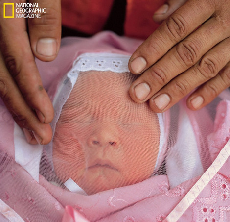 Η ζωή στον κόσμο το 2012 μέσα από το φακό του National Geographic - Φωτογραφία 3