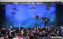 Τεράστιο ενυδρείο με καρχαρίες προκαλεί πανικό! - Φωτογραφία 2