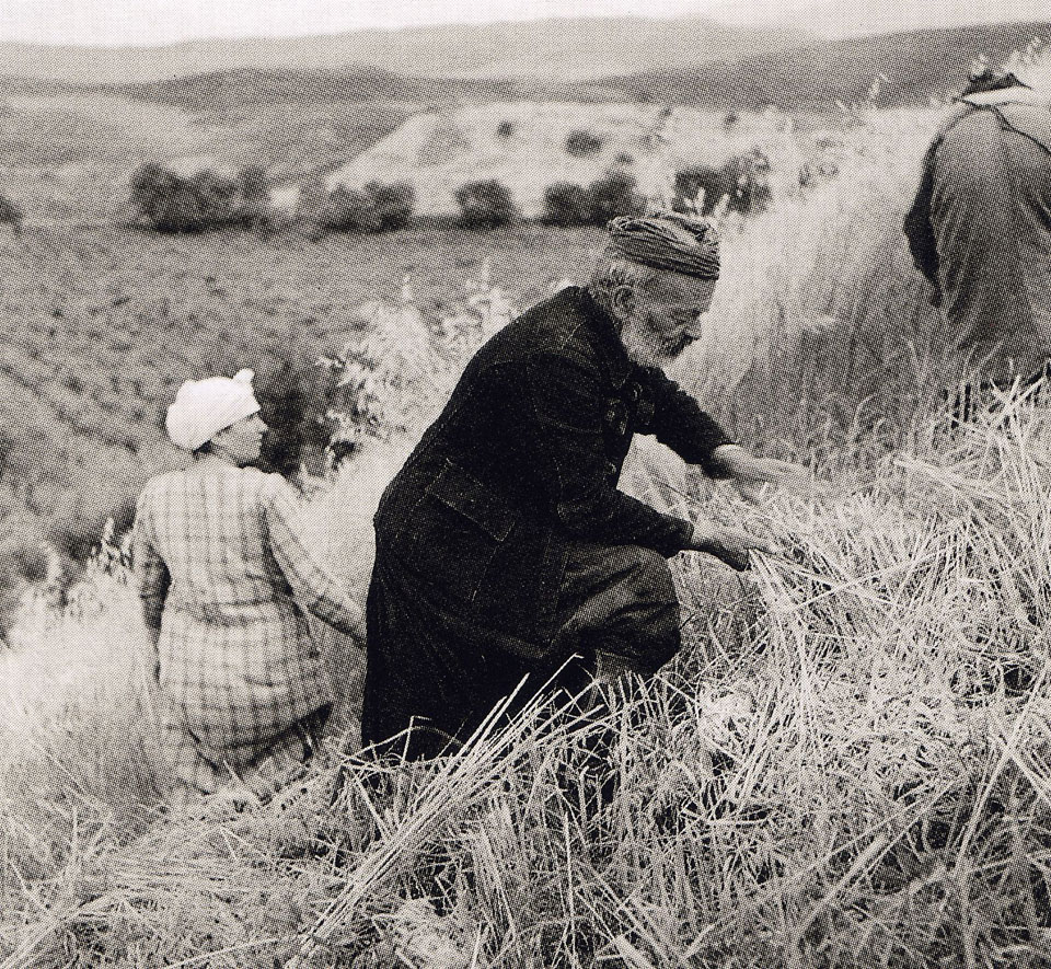 80 ανεκτίμητες φωτογραφίες της Κρήτης 1911 - 1949, - Φωτογραφία 38