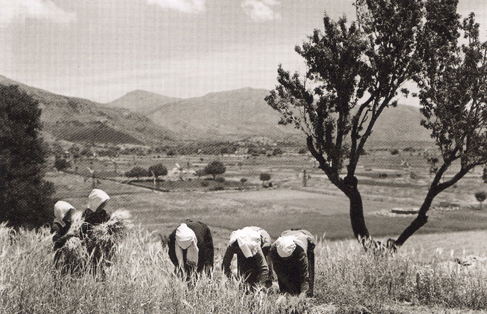 80 ανεκτίμητες φωτογραφίες της Κρήτης 1911 - 1949, - Φωτογραφία 48