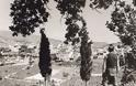 80 ανεκτίμητες φωτογραφίες της Κρήτης 1911 - 1949, - Φωτογραφία 44
