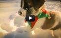 Χαριτωμένες Χριστουγεννιάτικες περιπέτειες [Video]