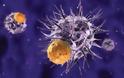Νέα στοιχεία για τον καρκίνο αποκάλυψε έρευνα
