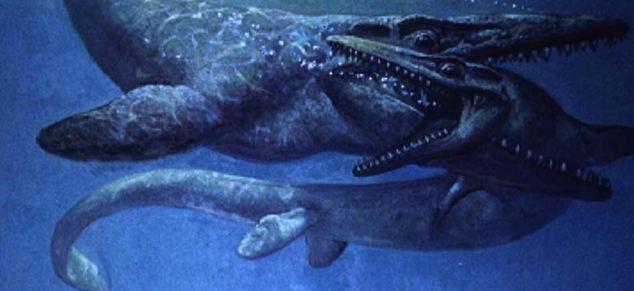 O Τ. rex των ποταμών - Φωτογραφία 2