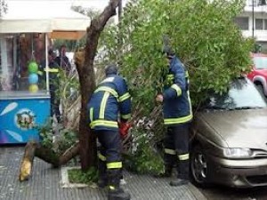 ΒΟΛΟΣ: Βρήκαν τα αυτοκίνητά τους... πλακωμένα από δέντρα! - Φωτογραφία 1