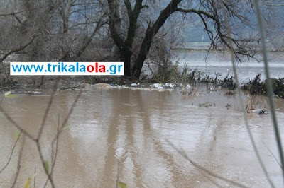 Θάλασσα ο κάμπος από τη σημερινή πλημμύρα του Πηνειού σε Τρίκαλα – Καρδίτσα - Φωτογραφία 10