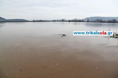 Θάλασσα ο κάμπος από τη σημερινή πλημμύρα του Πηνειού σε Τρίκαλα – Καρδίτσα - Φωτογραφία 8