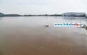 Θάλασσα ο κάμπος από τη σημερινή πλημμύρα του Πηνειού σε Τρίκαλα – Καρδίτσα - Φωτογραφία 1