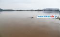Θάλασσα ο κάμπος από τη σημερινή πλημμύρα του Πηνειού σε Τρίκαλα – Καρδίτσα - Φωτογραφία 8