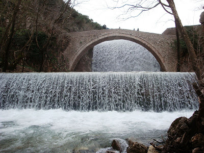 Ελάτη - Περτούλι: Ζωγραφισμένα με καταπράσινα ελατοδάση και κρυστάλλινα νερά - Φωτογραφία 11