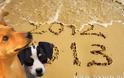 Ας μάθουμε να αγαπάμε τα ζώα το 2013