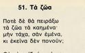 Ας μάθουμε να αγαπάμε τα ζώα το 2013 - Φωτογραφία 2