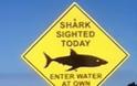 Σε συναγερμό το Σίδνεϊ από τις εμφανίσεις καρχαριών [video]