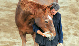 Τα άλογα είναι η θεραπεία για τους ομοφυλόφιλους - Φωτογραφία 1