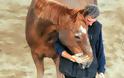 Τα άλογα είναι η θεραπεία για τους ομοφυλόφιλους