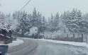 Χιόνια στα ορεινά και ομίχλη στη Λάρνακα