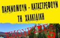 Διαδήλωση στην Αθήνα ενάντια στην καταστροφή της Χαλκιδικής