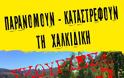 Διαδήλωση στην Αθήνα ενάντια στην καταστροφή της Χαλκιδικής - Φωτογραφία 2