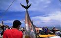 Ιαπωνία: Ψάρι βάρους 222 κιλών πωλήθηκε έναντι 1,38 εκατ. ευρώ
