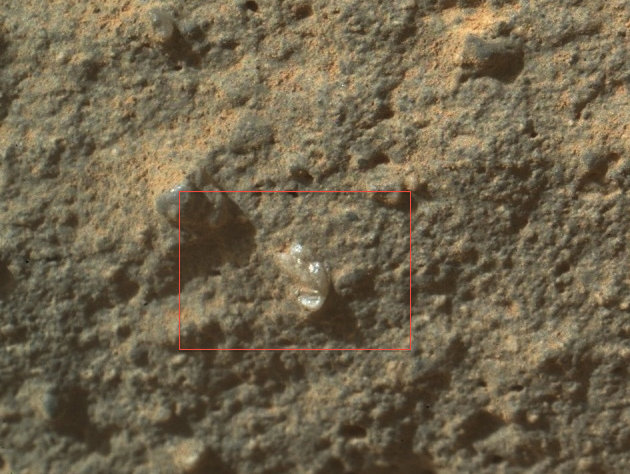 To Curiosity ανακάλυψε λουλούδι στον πλανήτης Άρη!‘flower’ on surface of Mars - Φωτογραφία 1