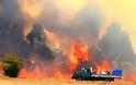 Ανεξέλεγκτες πυρκαγιές λόγω καύσωνα στην Τασμανία