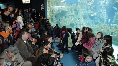 Θεοφάνεια στο Ενυδρείο Κρήτης - Φωτογραφία 4