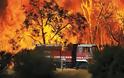 Αυστραλία: Επισήμως αγνοούνται 100 άνθρωποι στην Τασμανία από τις καταστροφικές πυρκαγιές