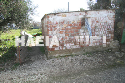 Σοκάρει η δολοφονία της 41χρονης στη Μανωλάδα – Κοιμόταν δύο μέρες δίπλα στη νεκρή γυναίκα του ο φονιάς - Φωτογραφία 3