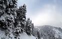 Κλειστά σχολεία στα ορεινά της Ξάνθης λόγω της χιονόπτωσης