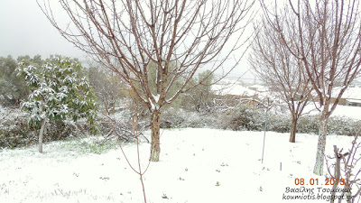 Χιονόπτωση στους Ανδρονιάνους Κύμης στην Εύβοια - Φωτογραφία 2