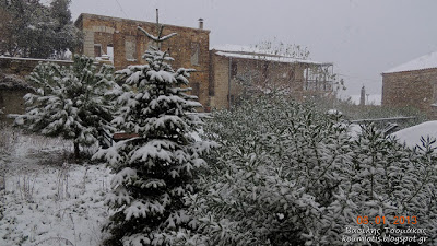 Χιονόπτωση στους Ανδρονιάνους Κύμης στην Εύβοια - Φωτογραφία 7