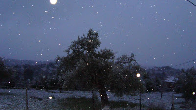 Χιόνισε ακόμα και στην Αβάντων! Φωτογραφίες από Κύμη και Σέττα - Φωτογραφία 5