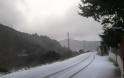 Χιόνισε ακόμα και στην Αβάντων! Φωτογραφίες από Κύμη και Σέττα - Φωτογραφία 2